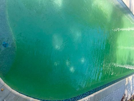 Murky green pool